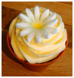 Fresh Daisy Lemon Cupcake
