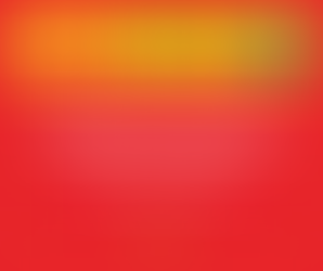 LA EMIGRACIÓN COMO MATERIA Y GARANTÍA CONSTITUCIONAL