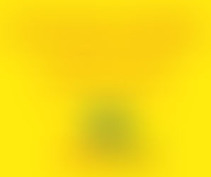 Breve historia de la migración de los mexicanos y zacatecanos a los Estados Unidos