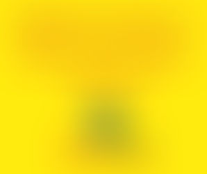 LA RUTA DE LA CELAC Y LA DERIVA DE LA OEA EN EL NUEVO ORDEN MUNDIAL