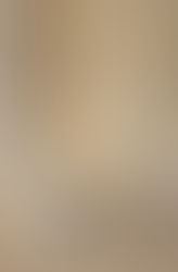 Caso di cittadinanza per diritto di nascita di Trump