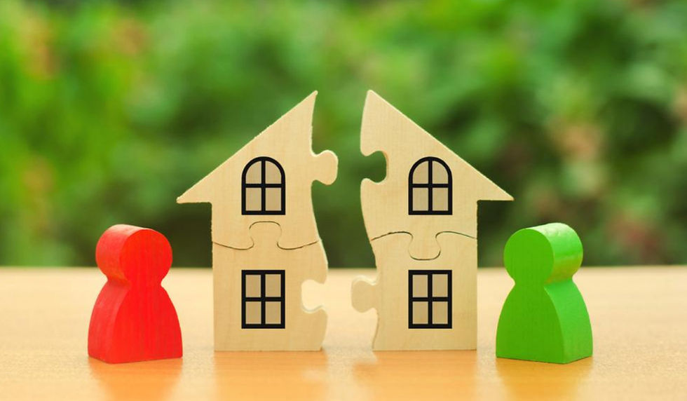 Can One Co-Owner Force the Sale or Partition of Valuable Investment Property in Florida or North Carolina?