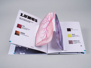 Interactive smoking awareness installation designed to help young people understand the effects of smoking through behavioural design and hands-on engagement.