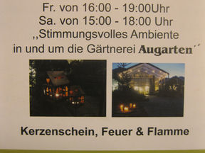 Wintertraum in der Gärtnerei 22.11.-23.11.2019