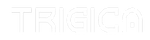 Trigica Logo Edited.png