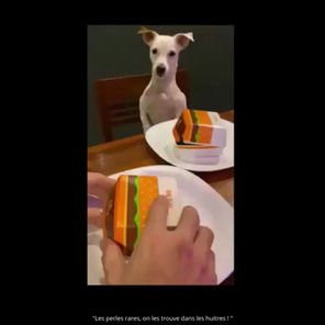 VENDREDI, TOUT EST PERMIS .. 