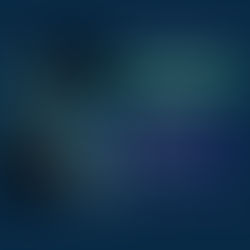 OPPORTUNITÉ - BU Manager