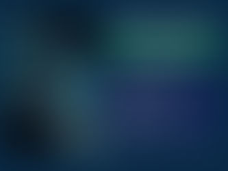 OPPORTUNITÉ - BU Manager