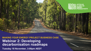 RECORDING | 18 November: Developing decarbonisation roadmaps - Making your energy project business case webinar series
