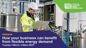 WEBINAR | 3 March: How your business can benefit from flexible energy demand