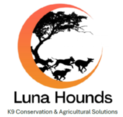 Luna Hounds New Logo.png