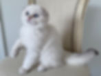 ree