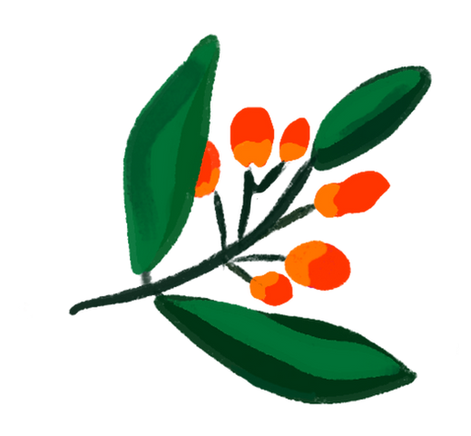 Illustration_sans_titre 268_edited_edited.png