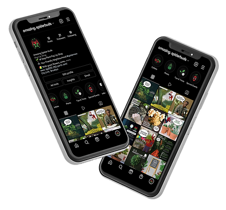 phones_1.png