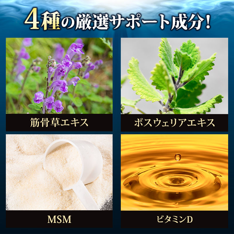 サムネイル： ロコモヘルプS