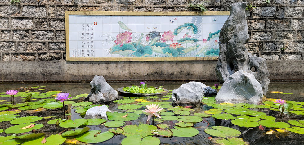 Tao Fong Shan Lotus Pond