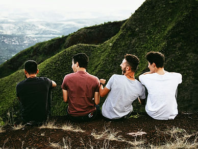Four male friends enjoying nature