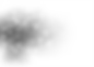 AdobeStock_123773058_desatutrated_flipped.png