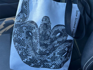 Art Bag In Real Life (IRL) Saw Scaled Viper Medium Tote for a quick grocery trip. Las Vegas, NV November 2025
