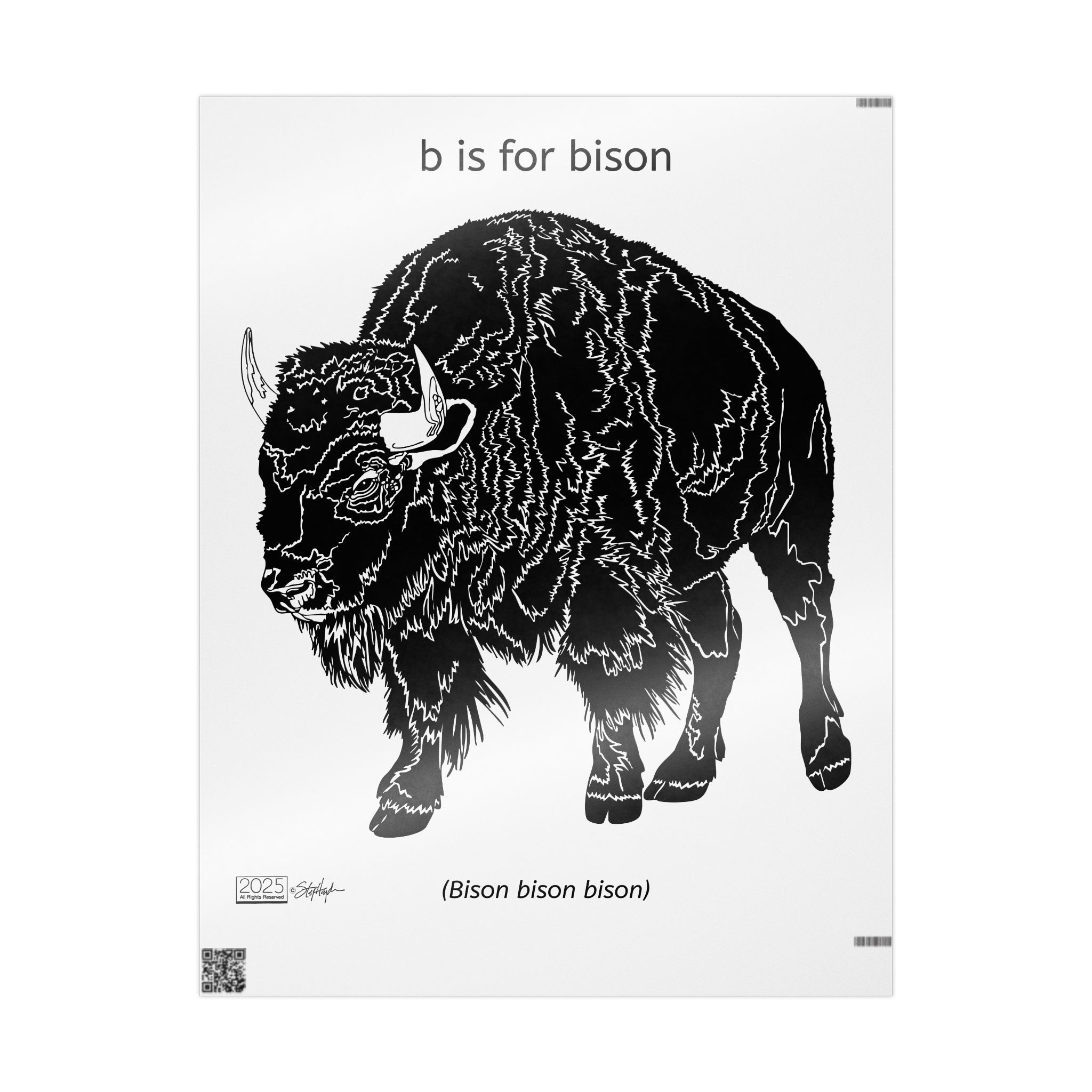 B is for Bison Gift Wrap, Art Mode, Convertible Gift Wrap Becomes Wall Art