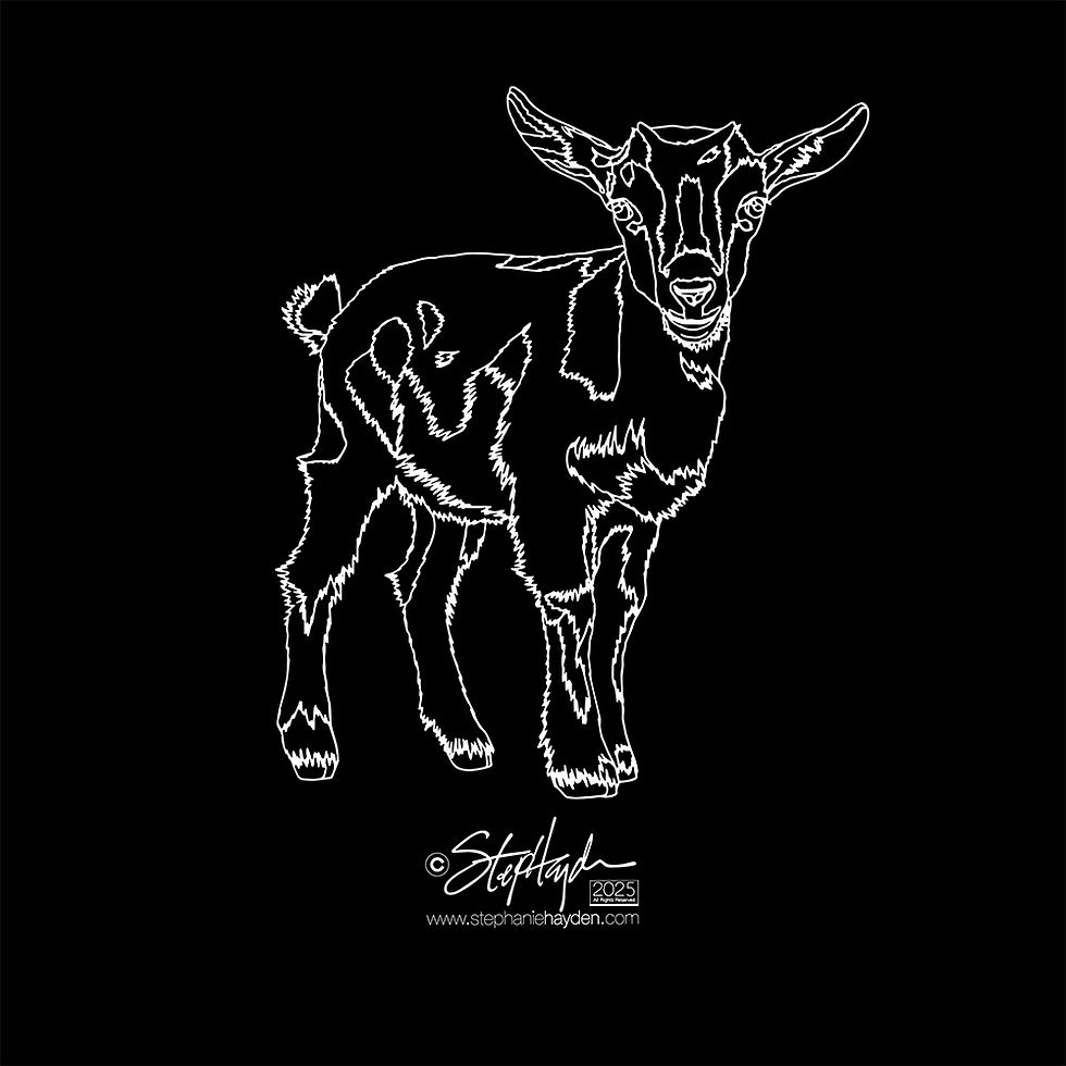Hayden_Collection Cover_Art_Goat Baby 2_XRay Mode_2025