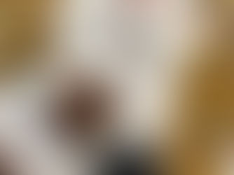 Art Project Digital Download Fight or Flight Black Widow Spider and Death's-head Moth Coloring, 12th Grade, Las Vegas, NV October 2025