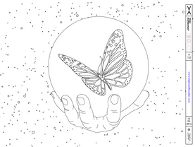 Maps: Vision Architecture Butterfly, Globe, Constellations