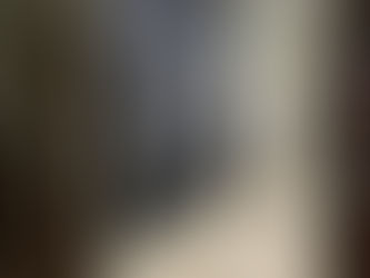 Adopt Don't Chop a Turkey Wall Tapestry, Very Large, Good for a Barn