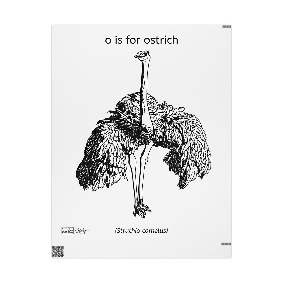 Thumbnail: O is for Ostrich Gift Wrap, White Mode, Convertible Gift Wrap Becomes Wall Art