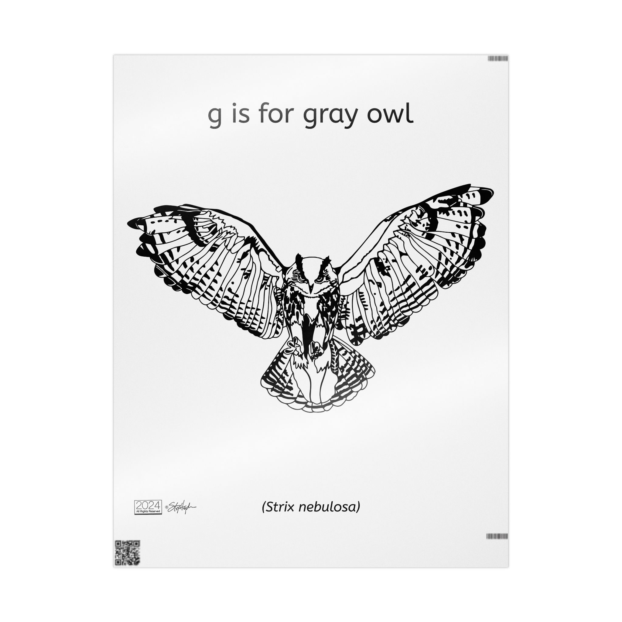 G is for Gray Owl Gift Wrap, White, Convertible Gift Wrap Becomes Wall Art