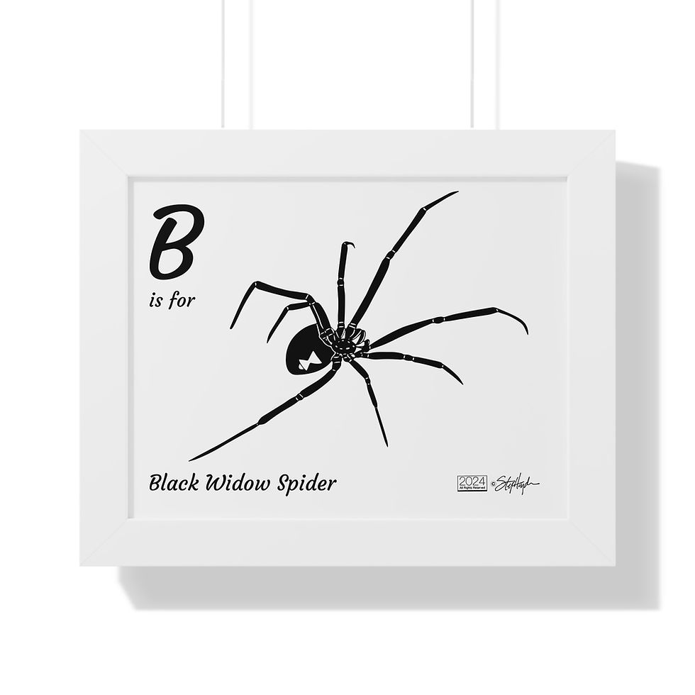 Thumbnail: "B is for Black Widow Spider" Framed Horizontal Educational Poster