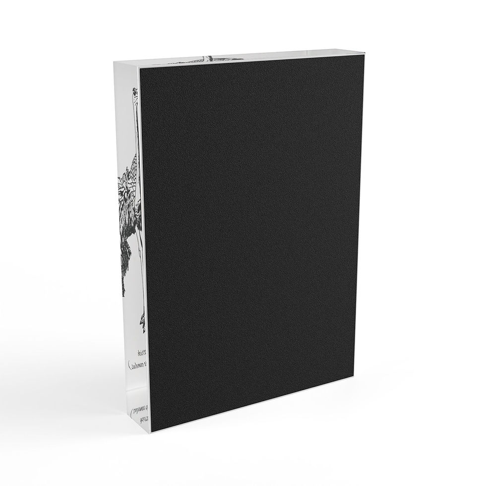 Thumbnail: Ostrich (Struthio camelus) Vertical Acrylic Art Block White Mode