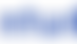 Intuit: Client Profile: 2020-2021