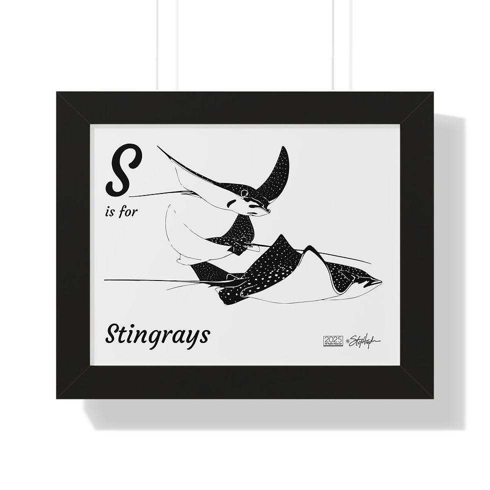 "S is for Stingrays" Framed Horizontal Educational Poster for Kids' Room