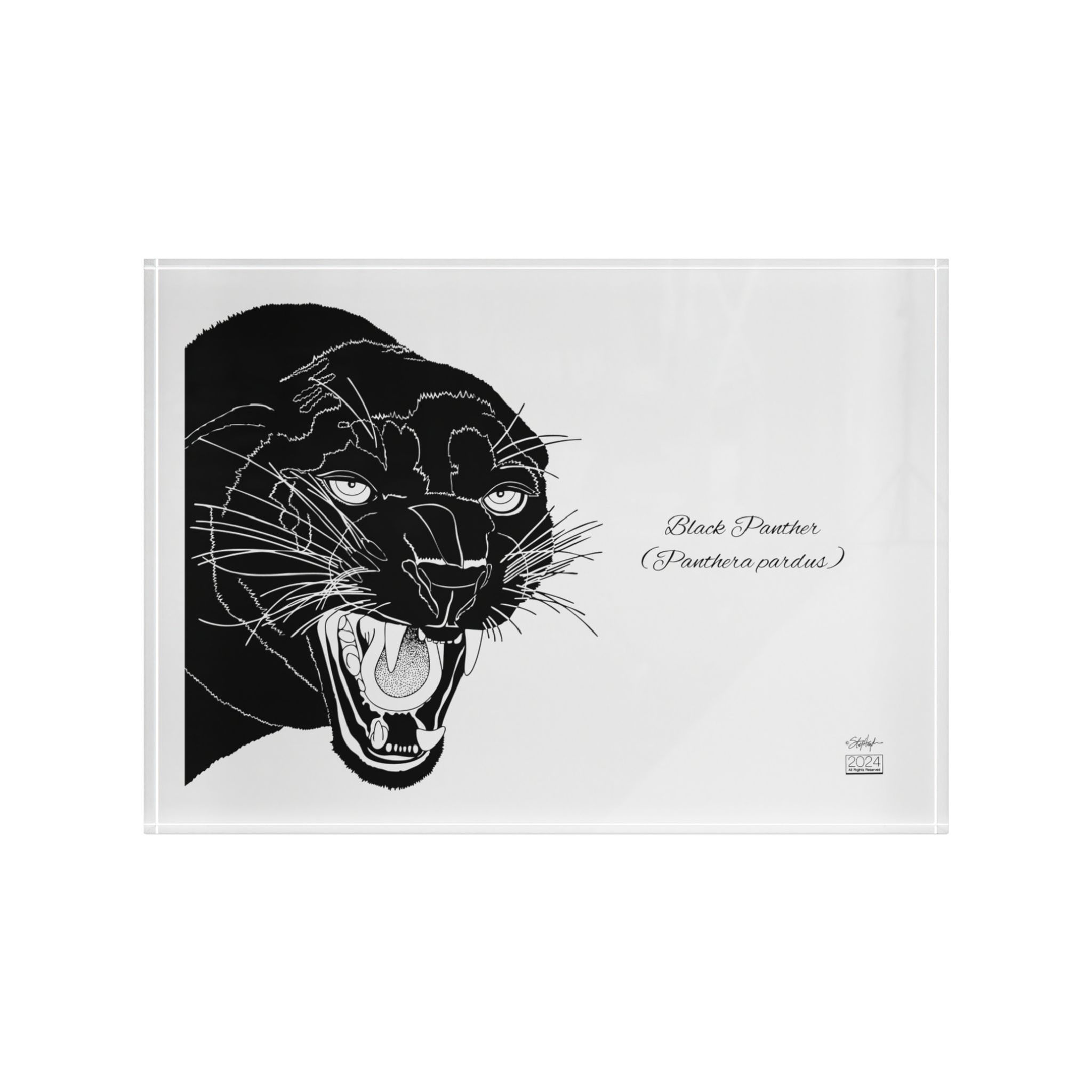 Black Panther (Panthera pardus) Horizontal Acrylic Art Block White Mode