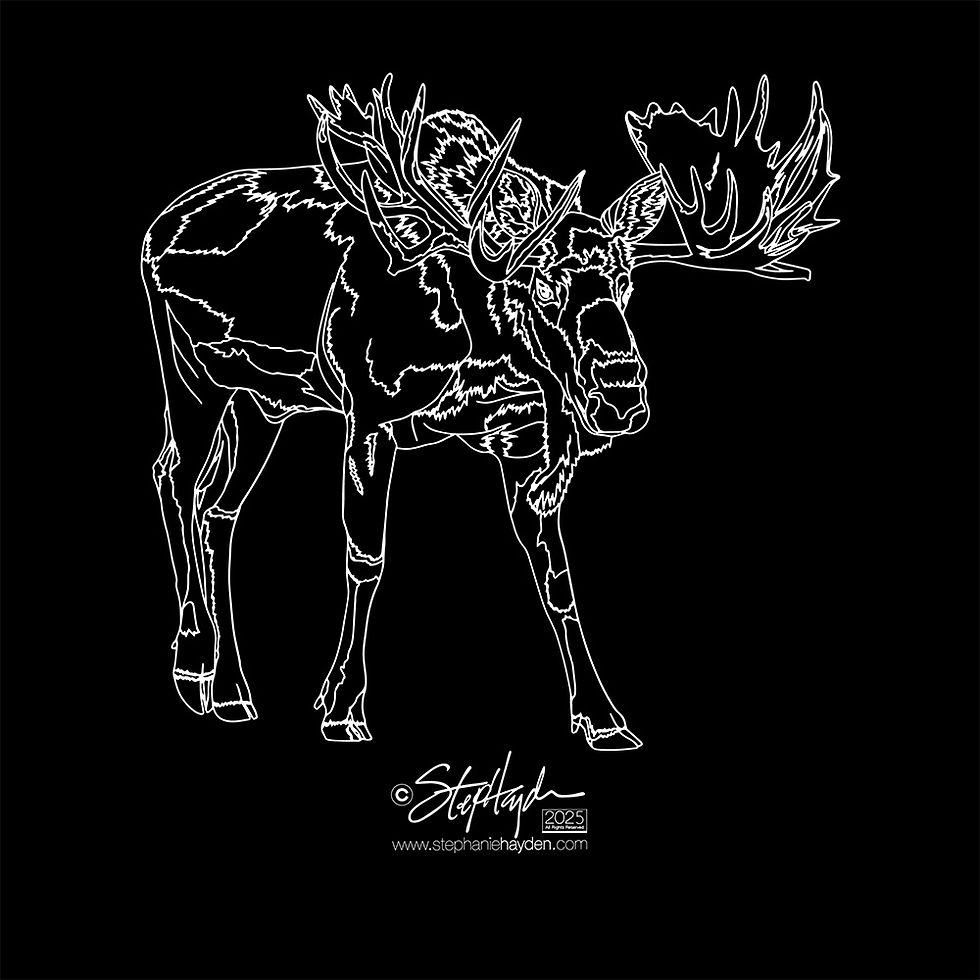 Hayden_Collection Cover_Art_Moose_XRay Mode_2025