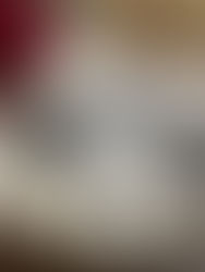 Ostrich Crushed Velvet Blanket Champagne and Black Contrast - I Love this!