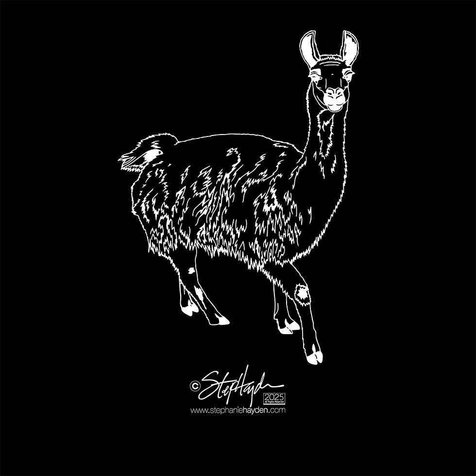 Hayden_Collection Cover_Art_Alpaca_Xray Mode_2025