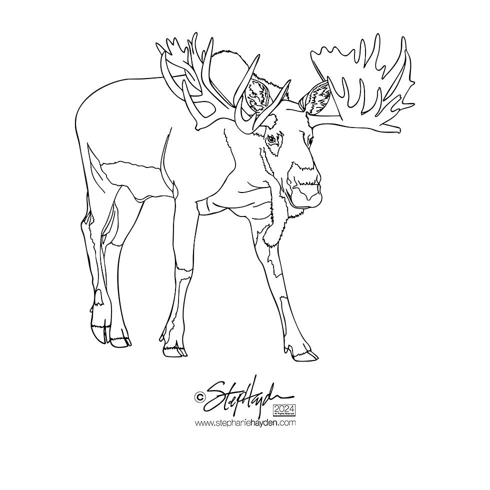 Hayden_Collection Cover_Deer_Moose_Art Mode_2024