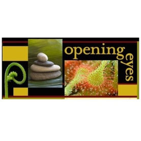 Testimonial: Opening Eyes - Dana Whitaker