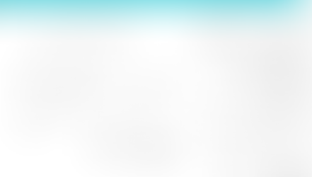 Vision Architecture Workshops for Assessing Intranet Governance