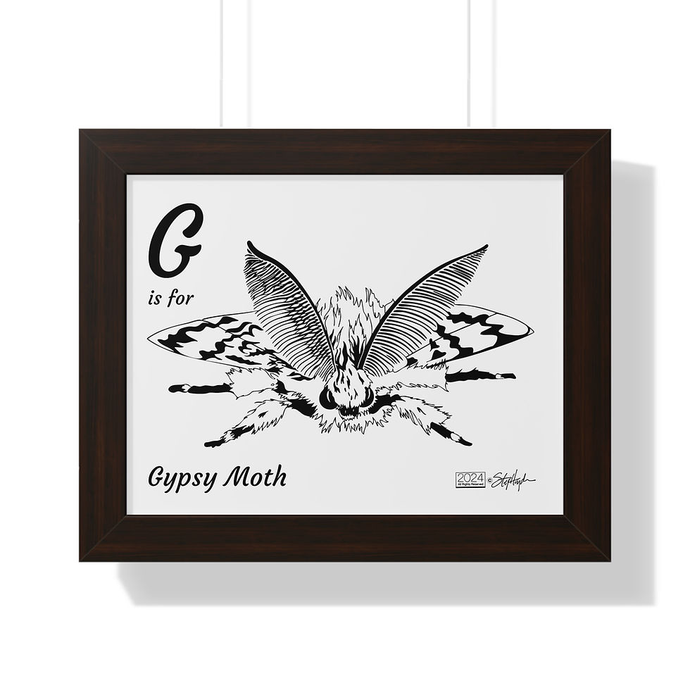 Thumbnail: "G is for Gypsy Moth" Framed Horizontal Educational Poster Kids' Room