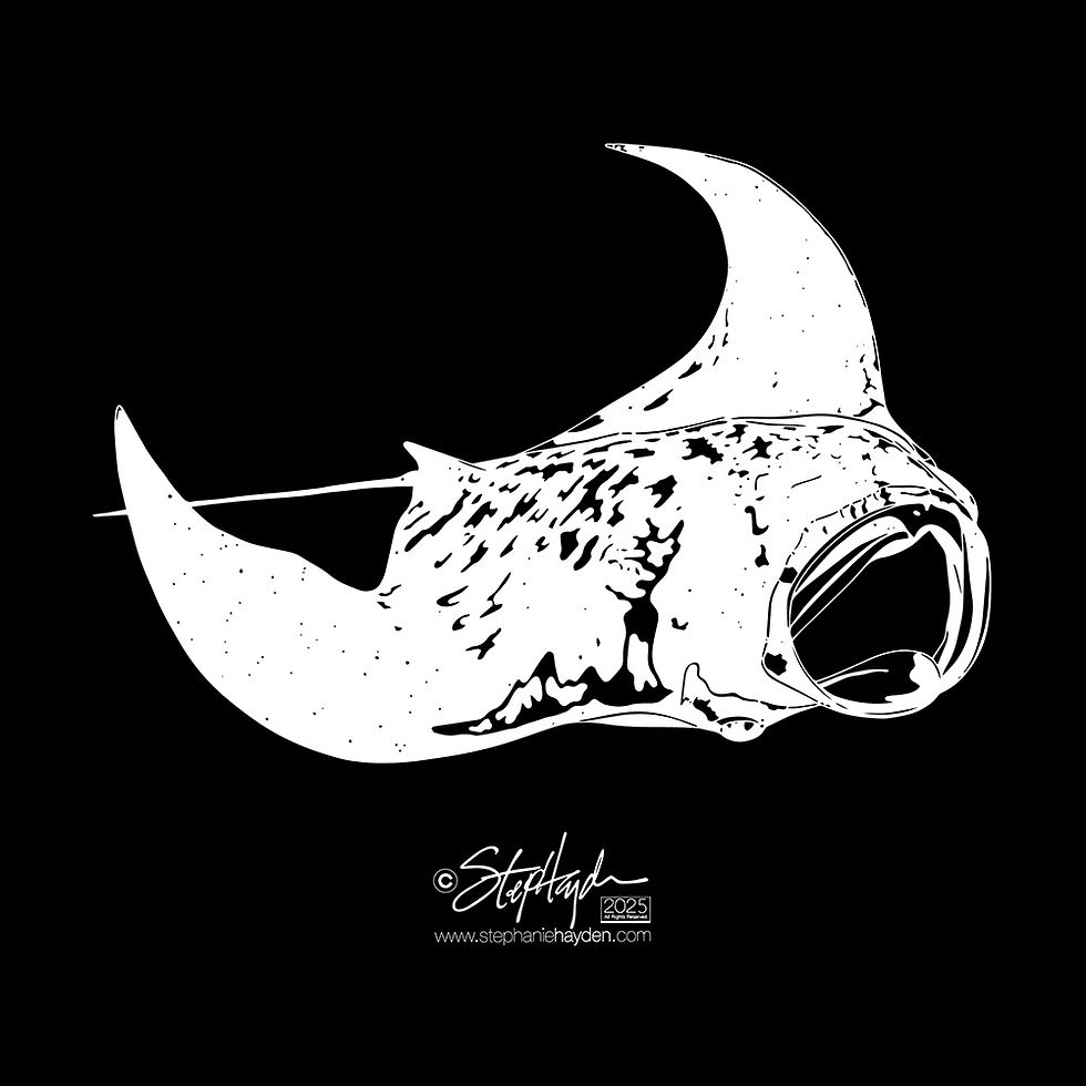Hayden_Collection Cover_Art_Fish_Ray_Manta_Dark Mode_2025