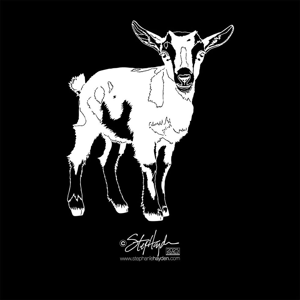 Hayden_Collection Cover_Art_Goat_Baby_Dark Mode_2025