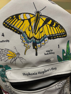Metamorphosis of a Swallowtail Butterfly Kids Backpack Coloring Project to Take to School - Kids LOVE IT