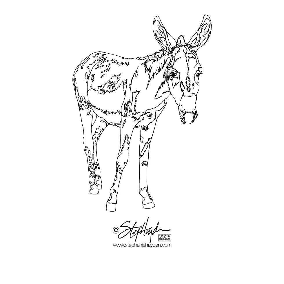 Hayden_Collection Cover_Art_Equine_Donkey_Art Mode_2025