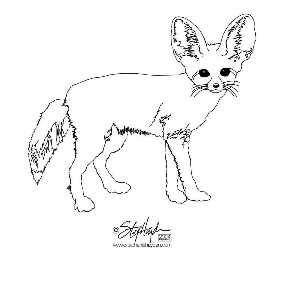 Hayden_Collection Cover_Fox_Fennec_Art Mode_2024