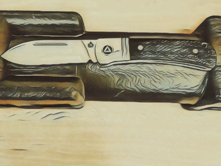 The Hedgehog from QSP!