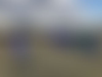 5年 11/5 関東リーグ