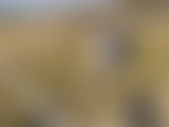 5年生 市長杯予選1日目